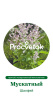 Шалфей Мускатный Германия Pro 0,2г