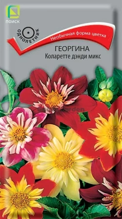 Георгина Коларетте дэнди микс (ЦВ) 0,2г