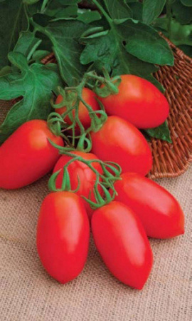 Томат Барнаульский Консервный (Марс) белый пакет 0,15г