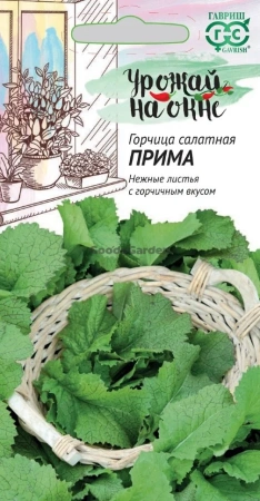 Горчица салатная Прима Урожай на окне ГВ 1г
