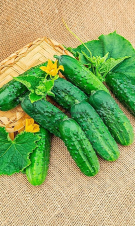 Огурец Светлячок (Марс) белый пакет 0,3г