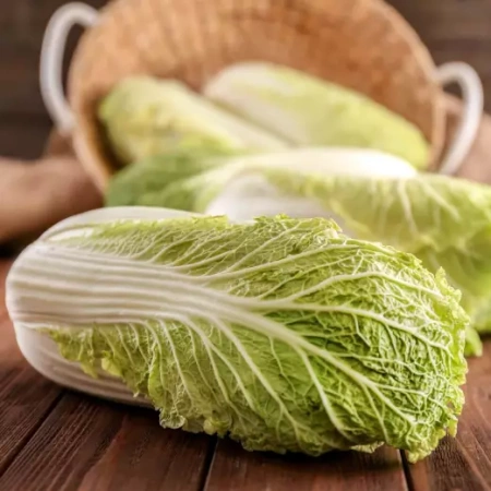 Капуста пекинская Весенний Нефрит F1 Польша Pro 0,5г