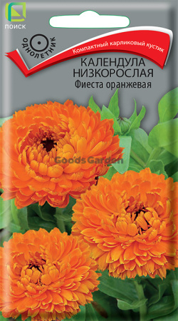 Календула низкорослая Фиеста оранжевая (ЦВ) 0,3г