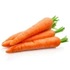 Морковь Самсон Нидерланды Pro 1г