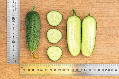 Огурец ХОББИТ F1 5шт