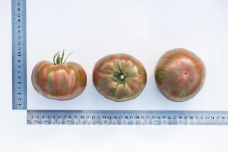 Томат ПОЛОСАТЫЙ ШОКОЛАД 2-ной пак. 5шт