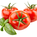 Томат Томат