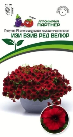 Петуния ИЗИ ВЭЙВ РЕД ВЕЛЮР F1 5шт в амп