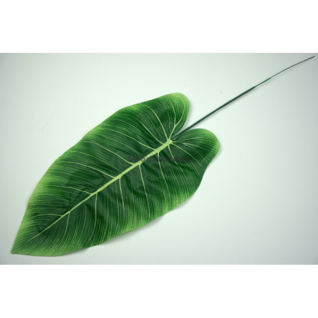 Лист антуриума 50см арт. ЗК051з (самовывоз и курьер по Минску)