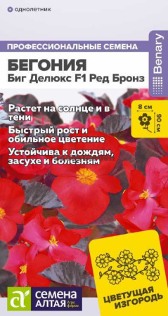 Бегония Биг Делюкс F1 Ред бронз SA 3шт