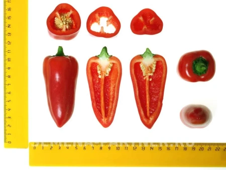 Перец сладкий НИККИ F1 2-ной пак. 5шт Перец сладкий НИККИ F1 2-ной пак. 5шт